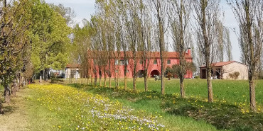 agriturismosito